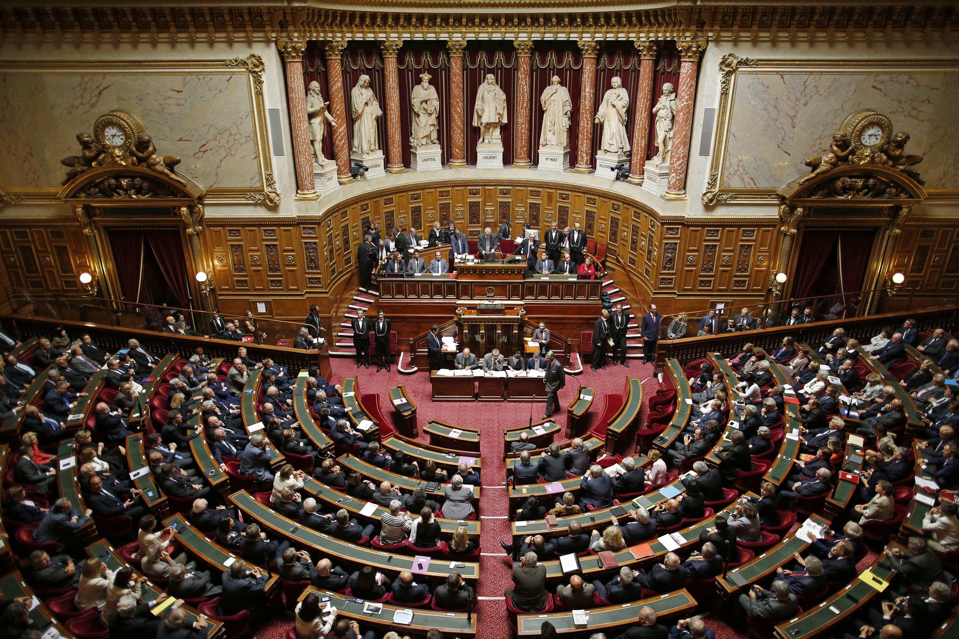 Alternate Text